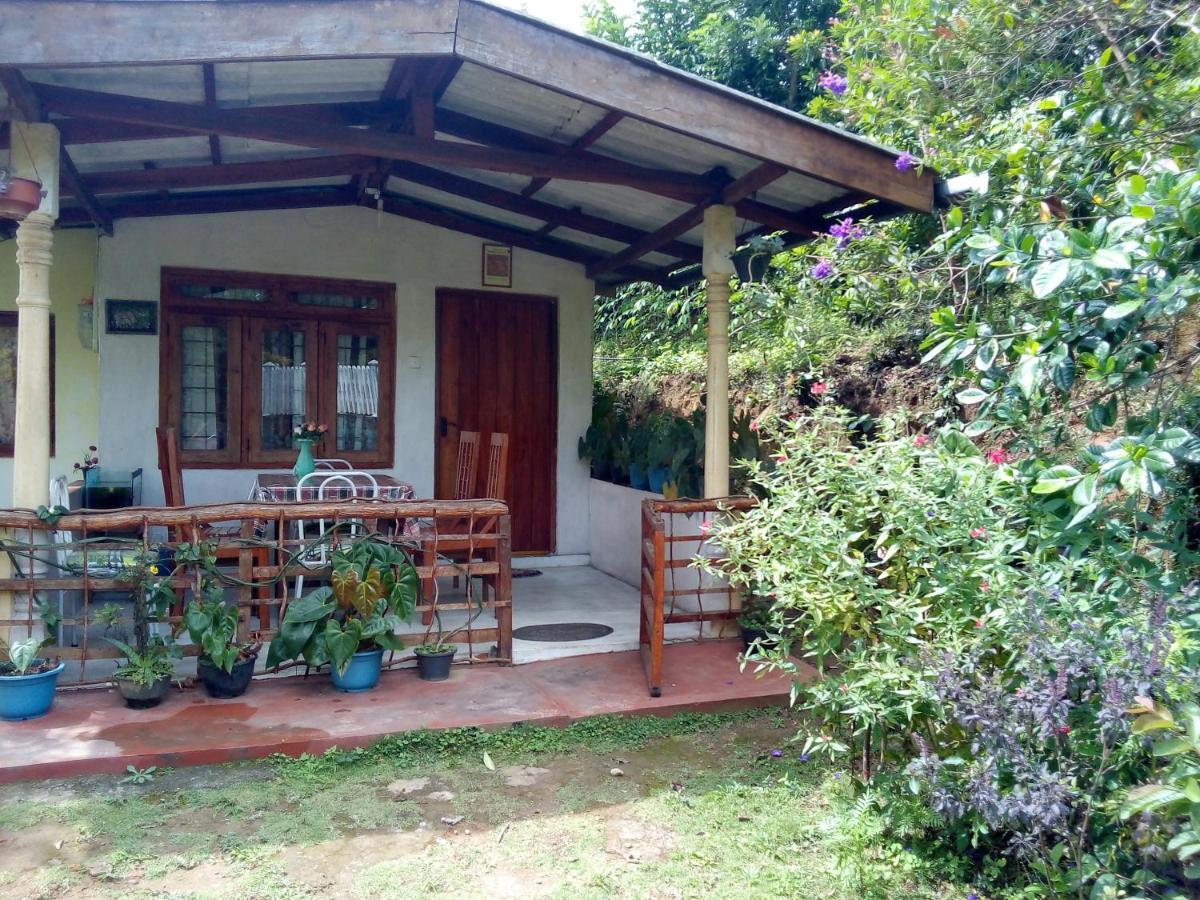 Ella J Villa מראה חיצוני תמונה