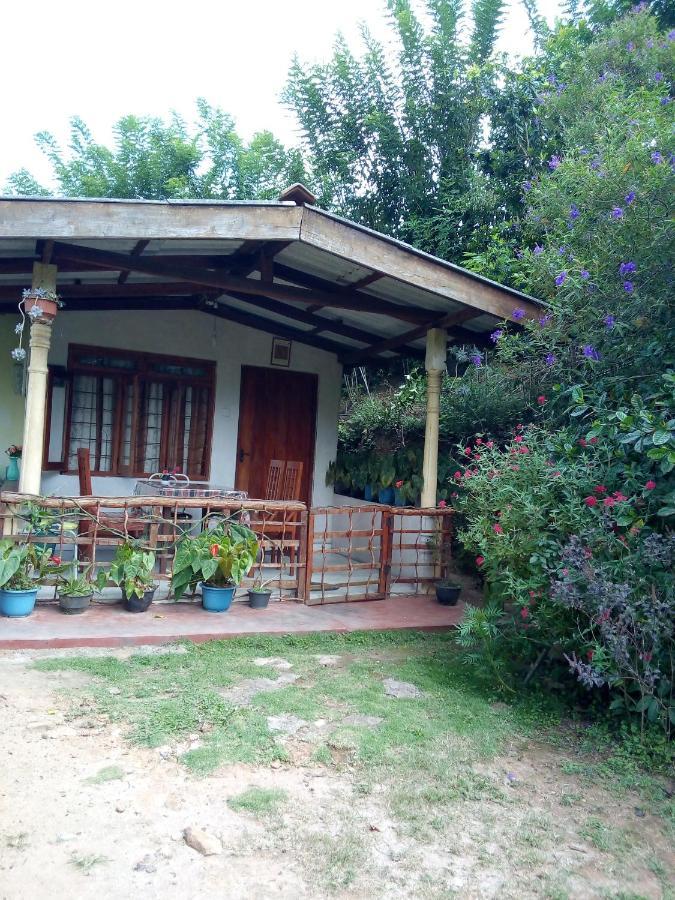 Ella J Villa מראה חיצוני תמונה