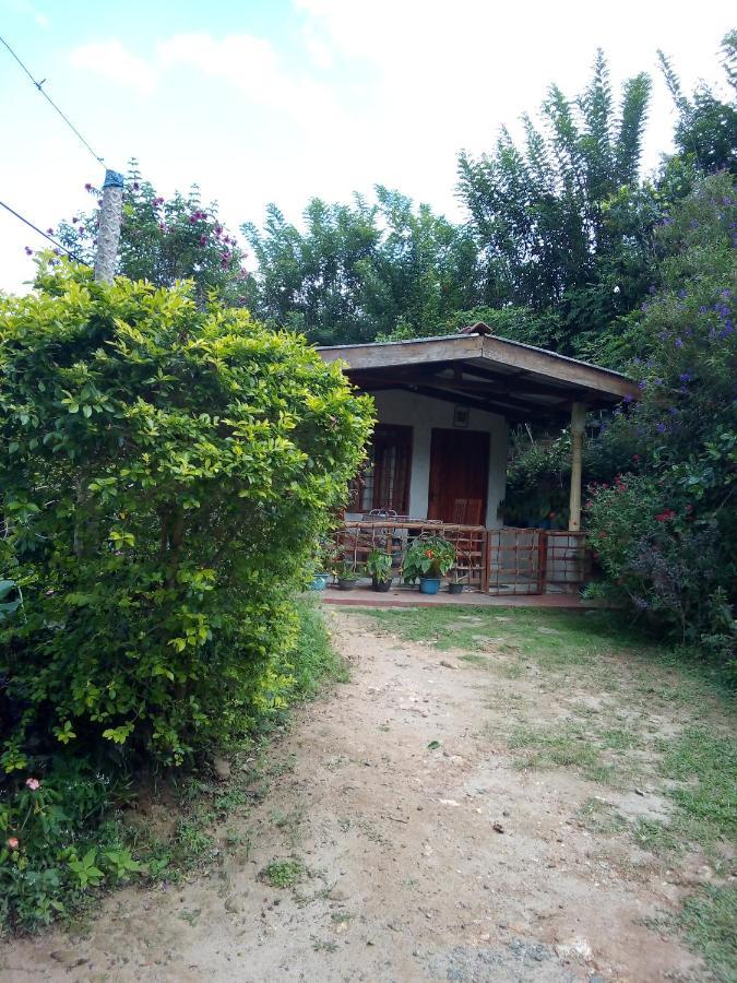 Ella J Villa מראה חיצוני תמונה