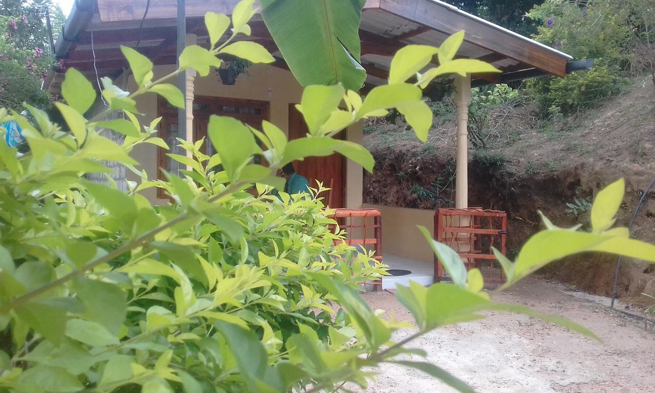 Ella J Villa מראה חיצוני תמונה